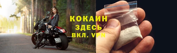стаф Абинск