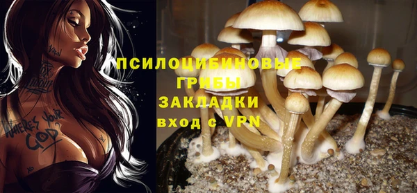 PSILOCYBIN Алексин