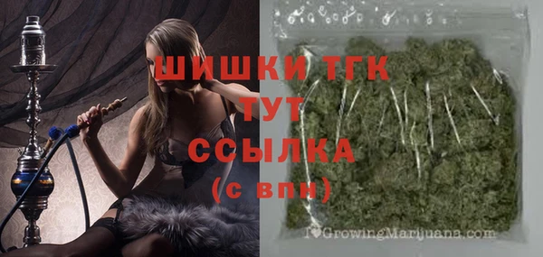 стаф Абинск