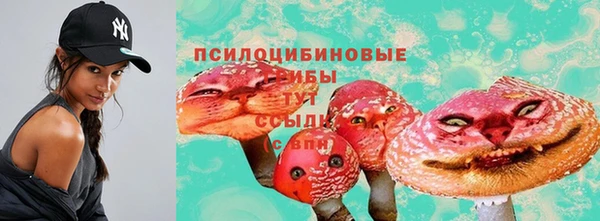 стаф Абинск
